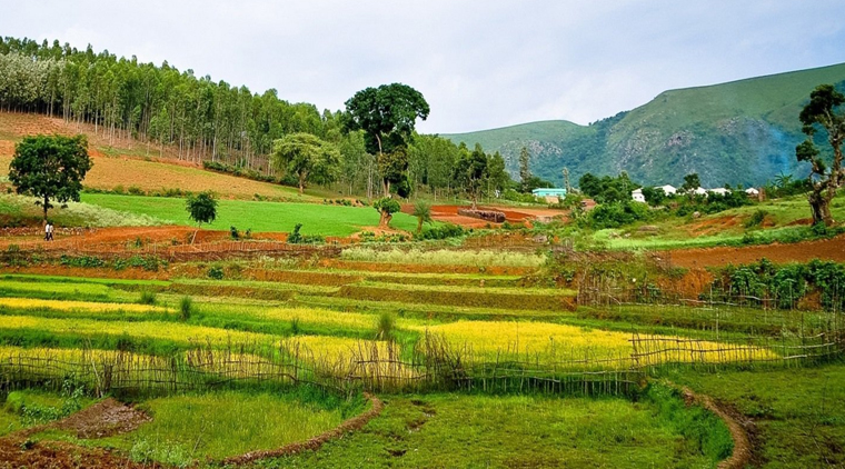 Hyderabad to Araku Tour Packages