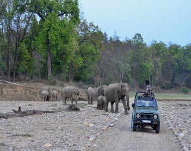 Rajaji National Park Tour