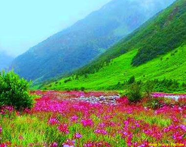 Valley of Flowers Uttarakhand Package