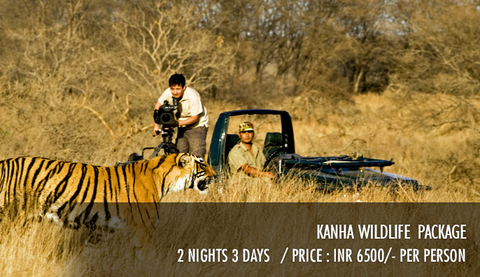 Kanha Wildlife Package