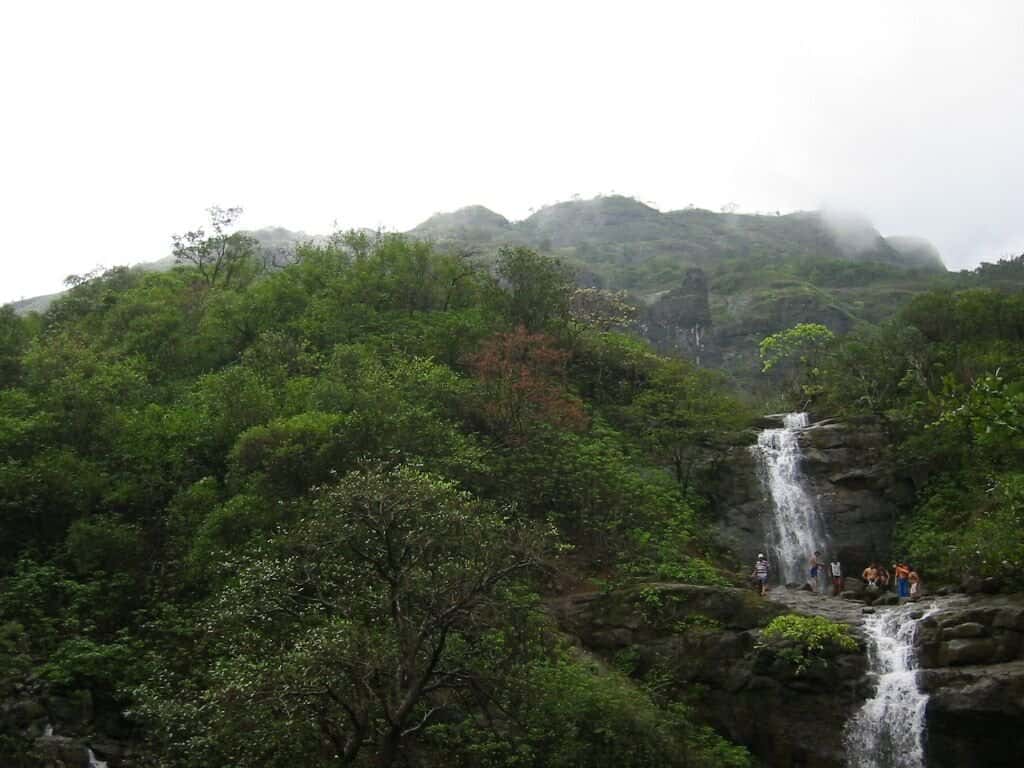 Amboli