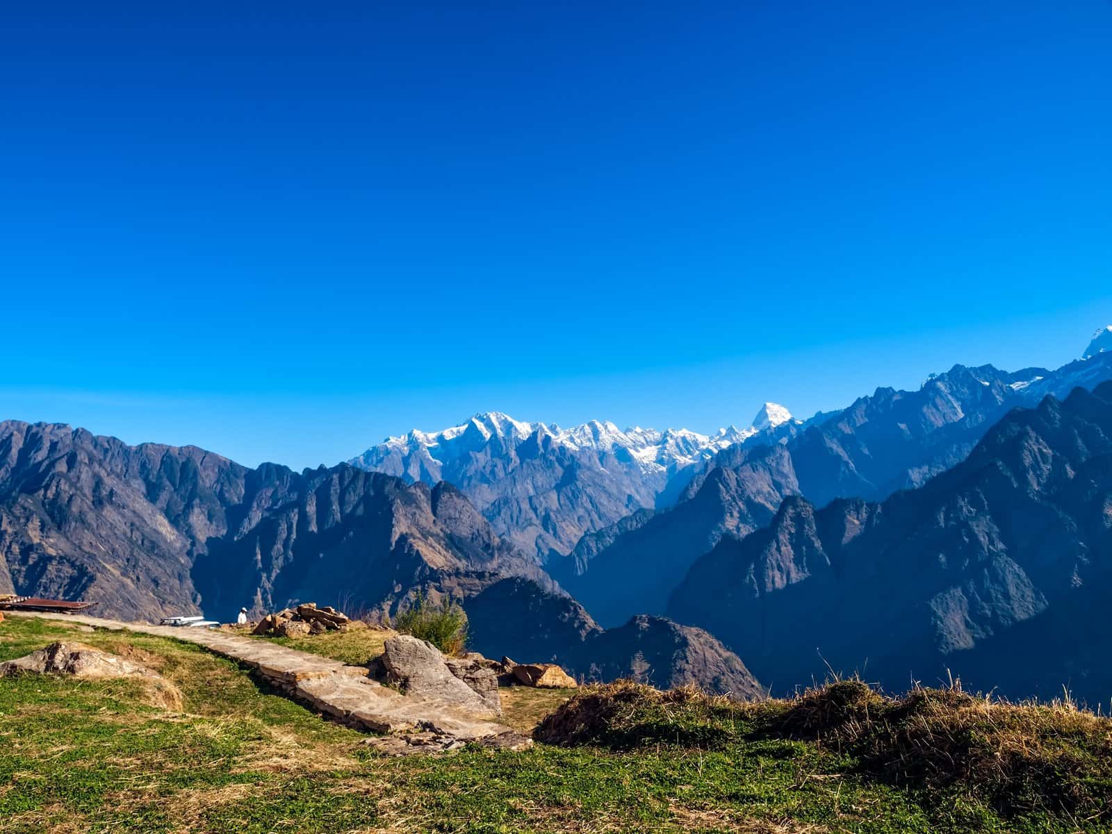 Auli