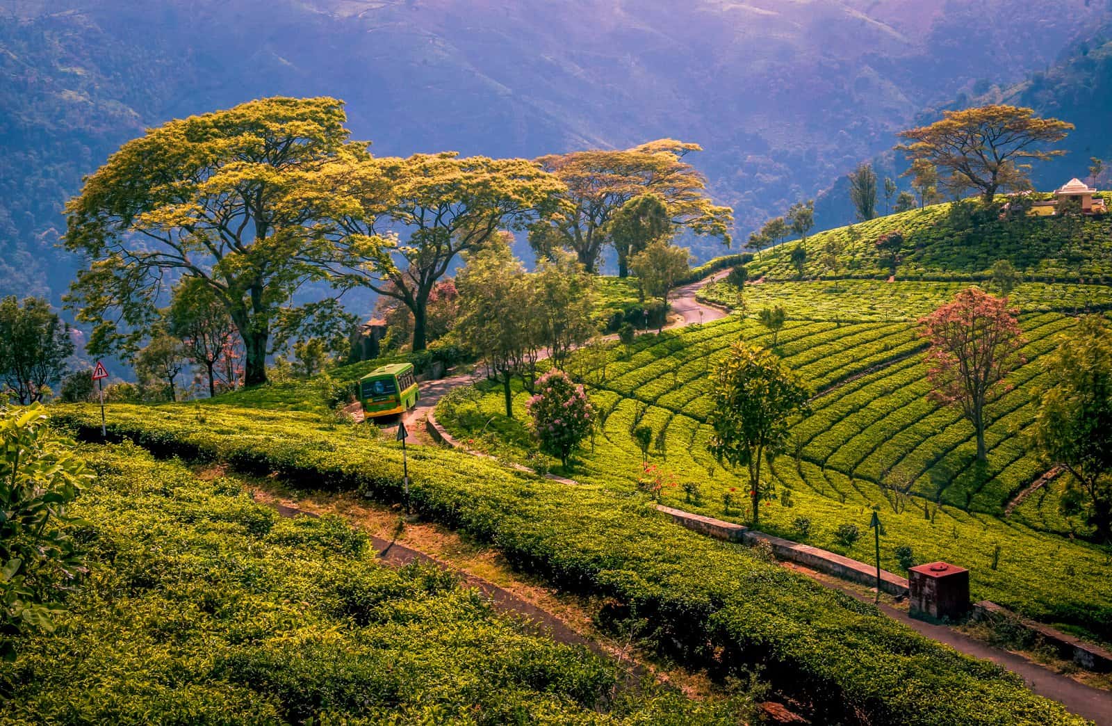 Kotagiri