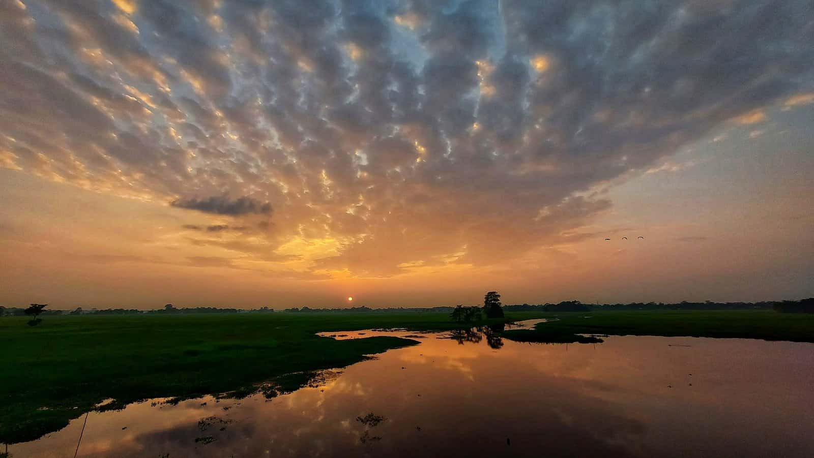 Majuli