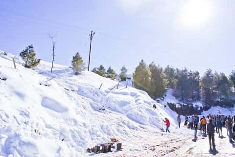 Patnitop