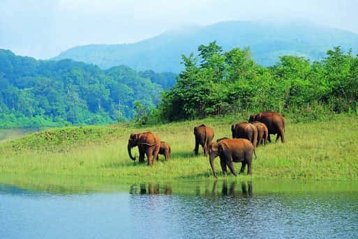 Periyar