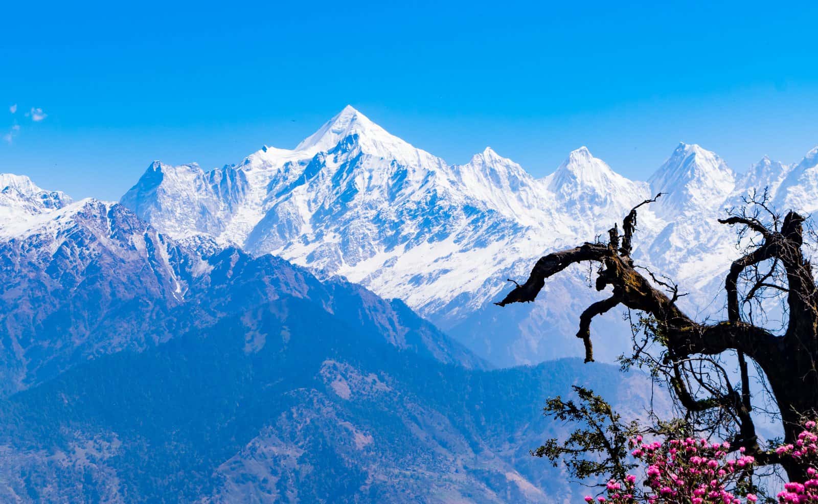 Pithoragarh
