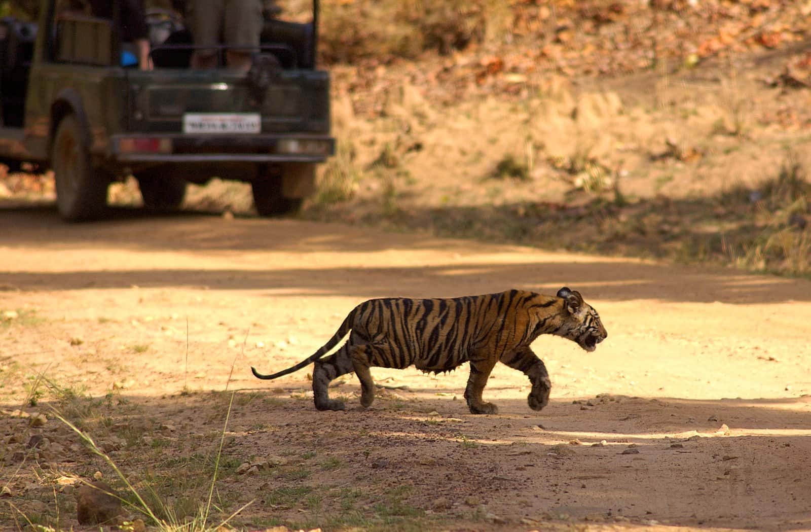 Sawai Madhopur