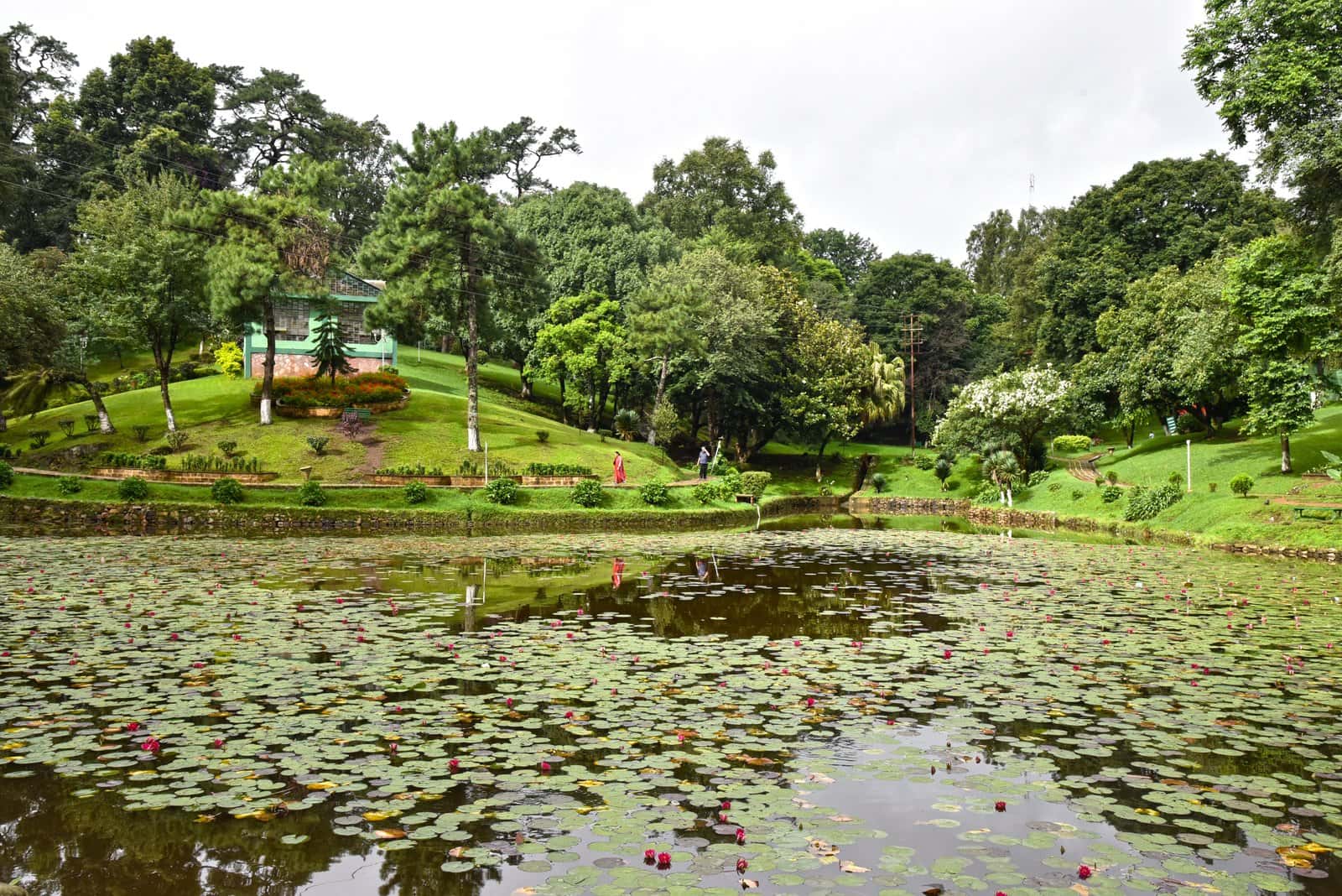 Shillong