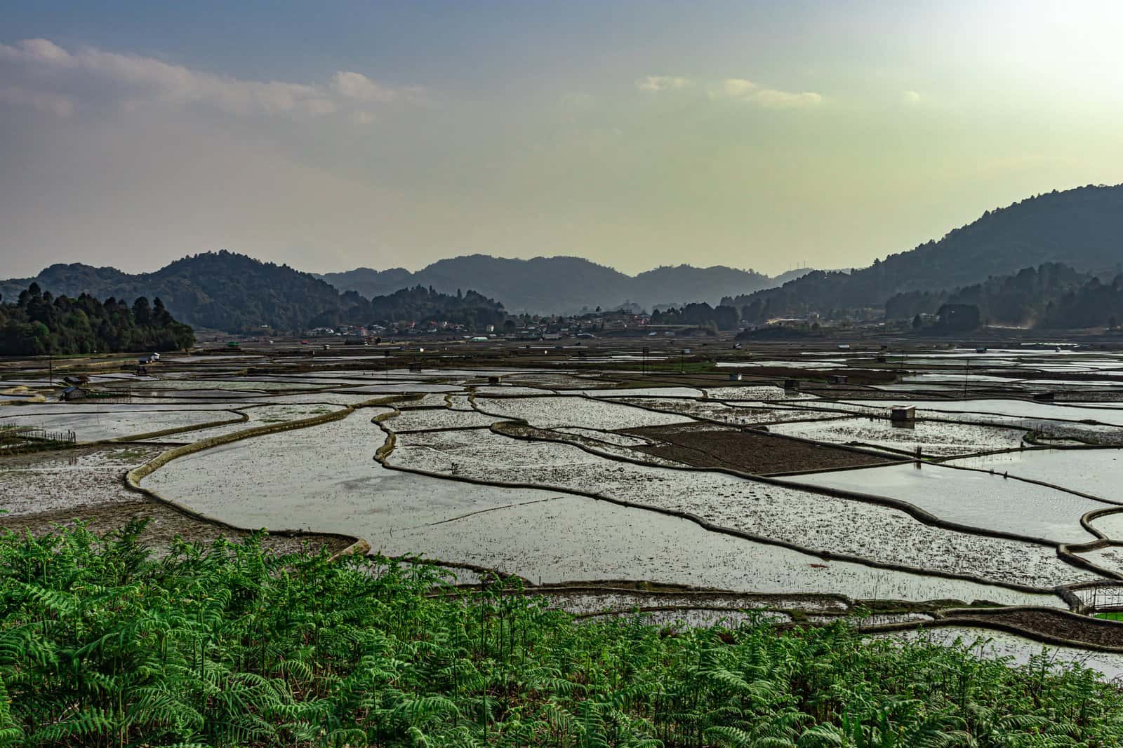 Ziro