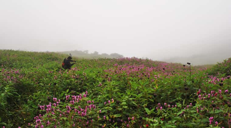 Chanap Valley Trek
