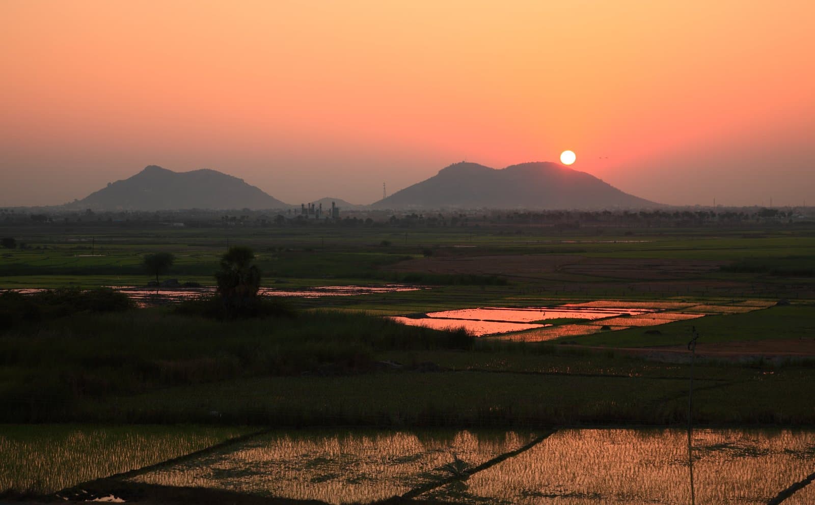 Nalgonda