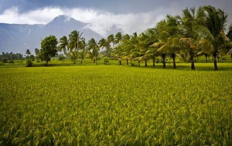 Palakkad