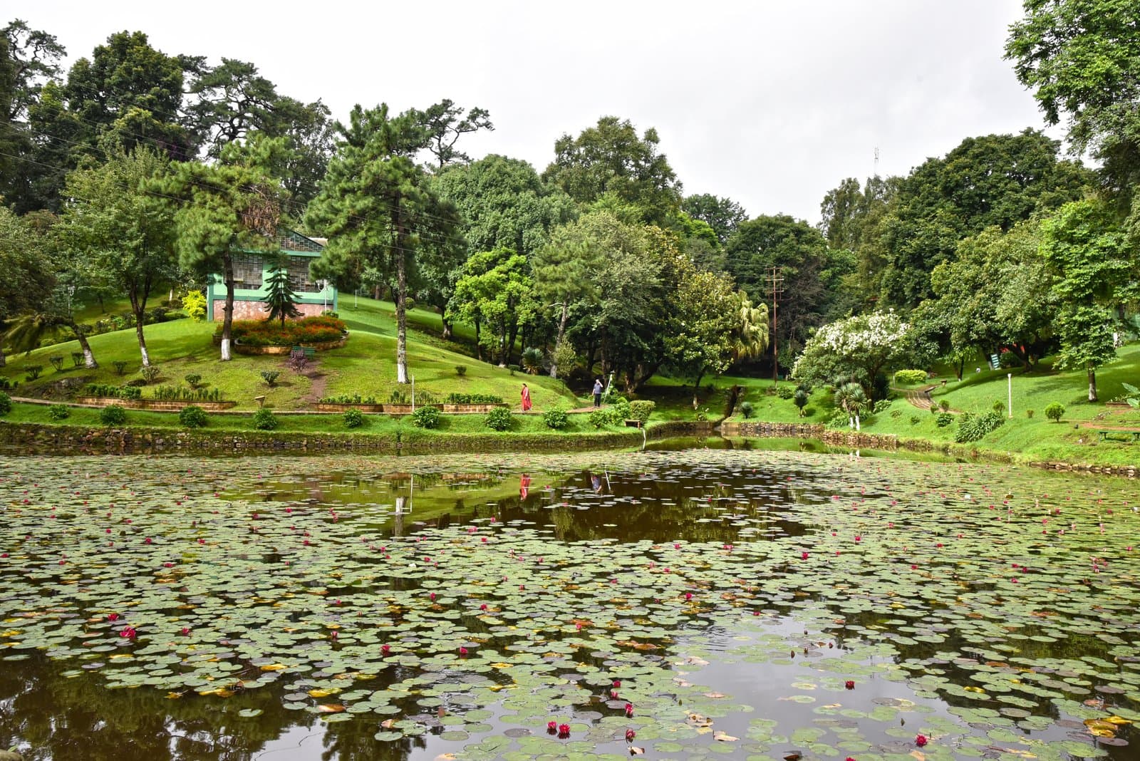 Shillong