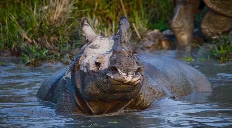 Assam Tour Package