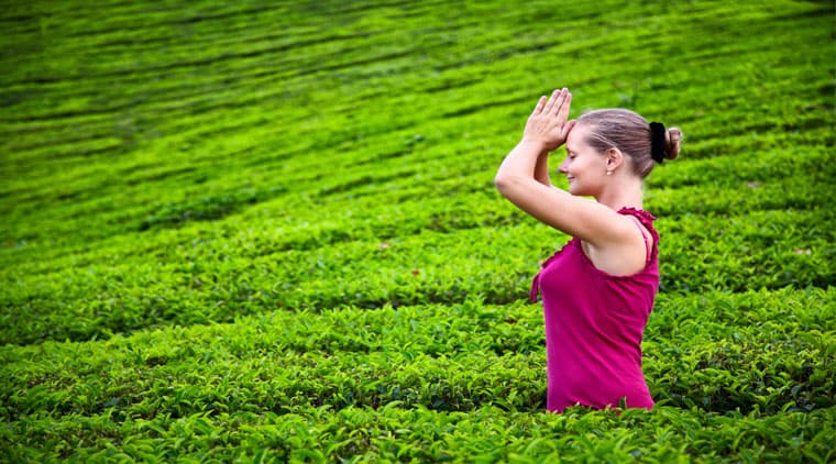 Kerala Tour Package