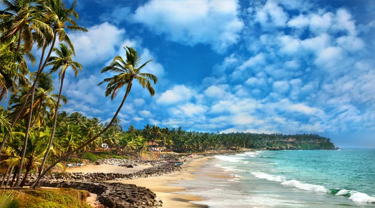 Kovalam Beach Tour - Image 5