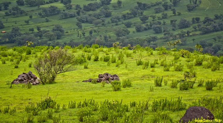 Mahabaleshwar Tour - Image 4