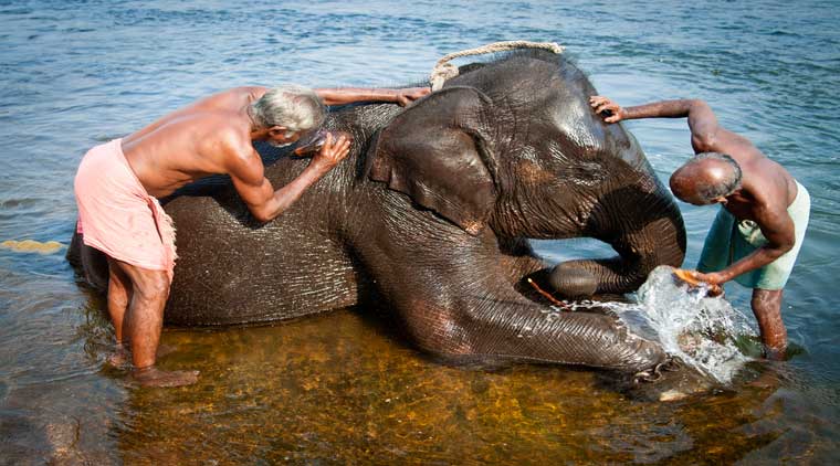 Tour Of South India