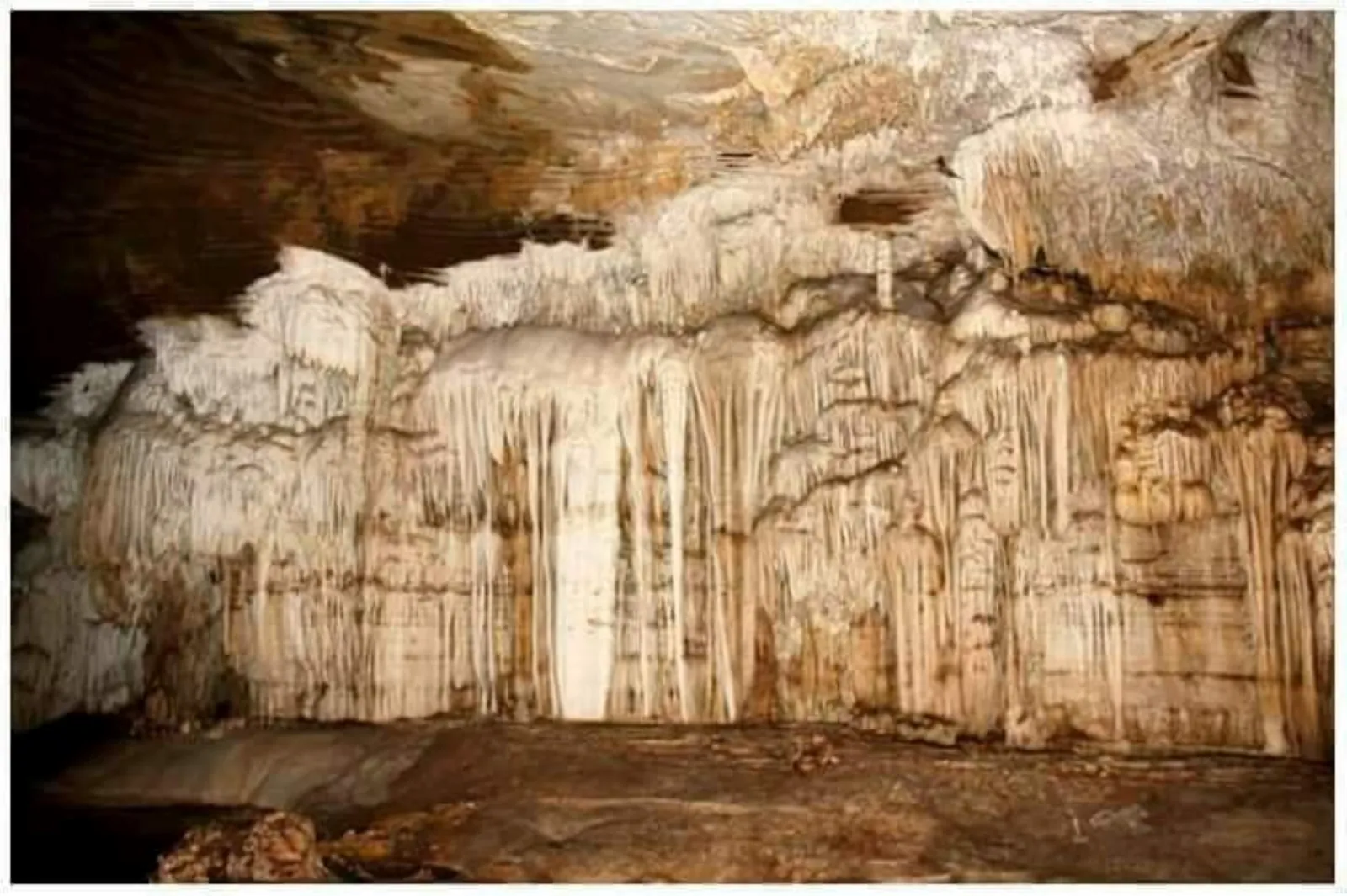 Limestone formations inside the Kutumsar Caves in the Kanger Valley, Bastar