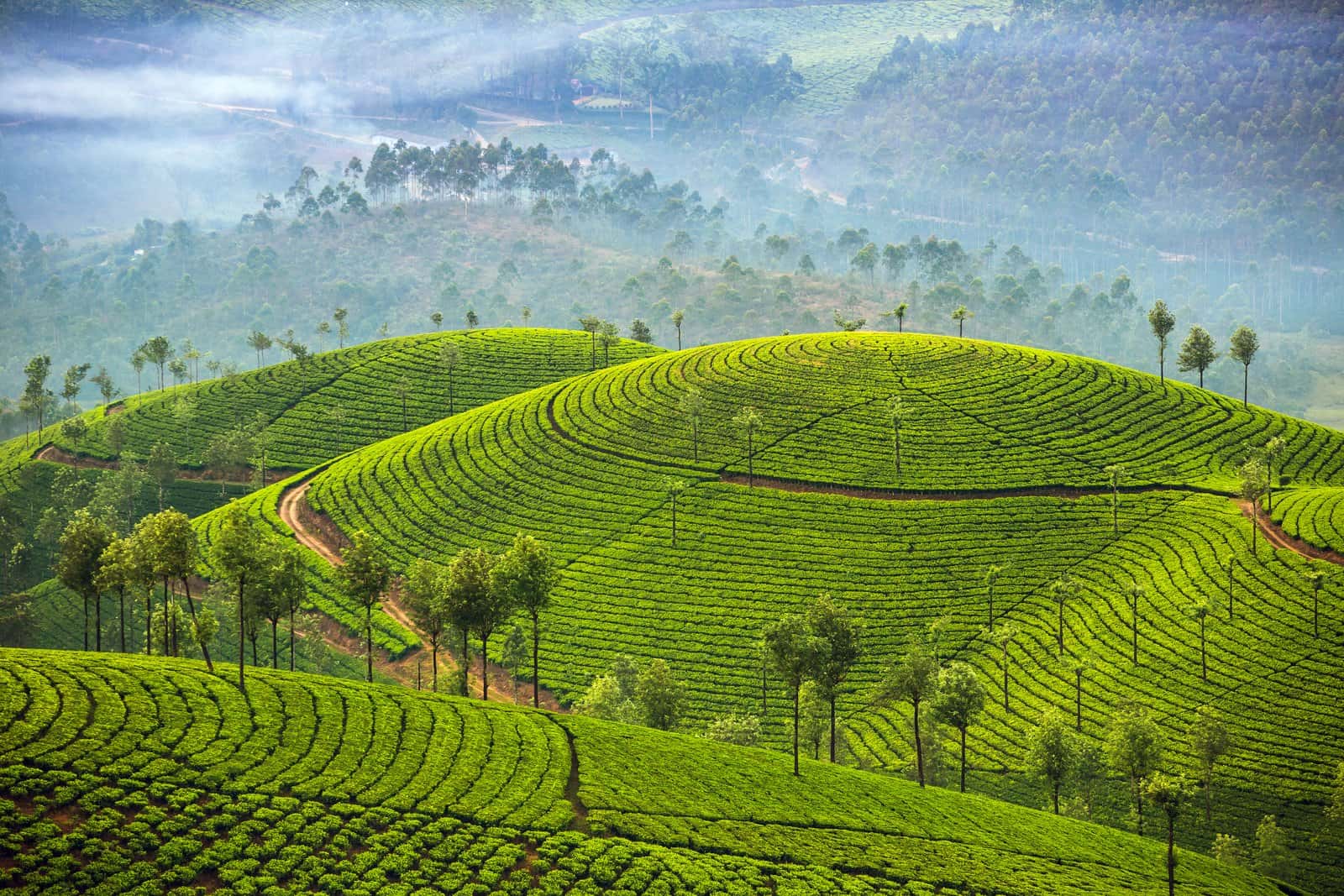 Devikulam