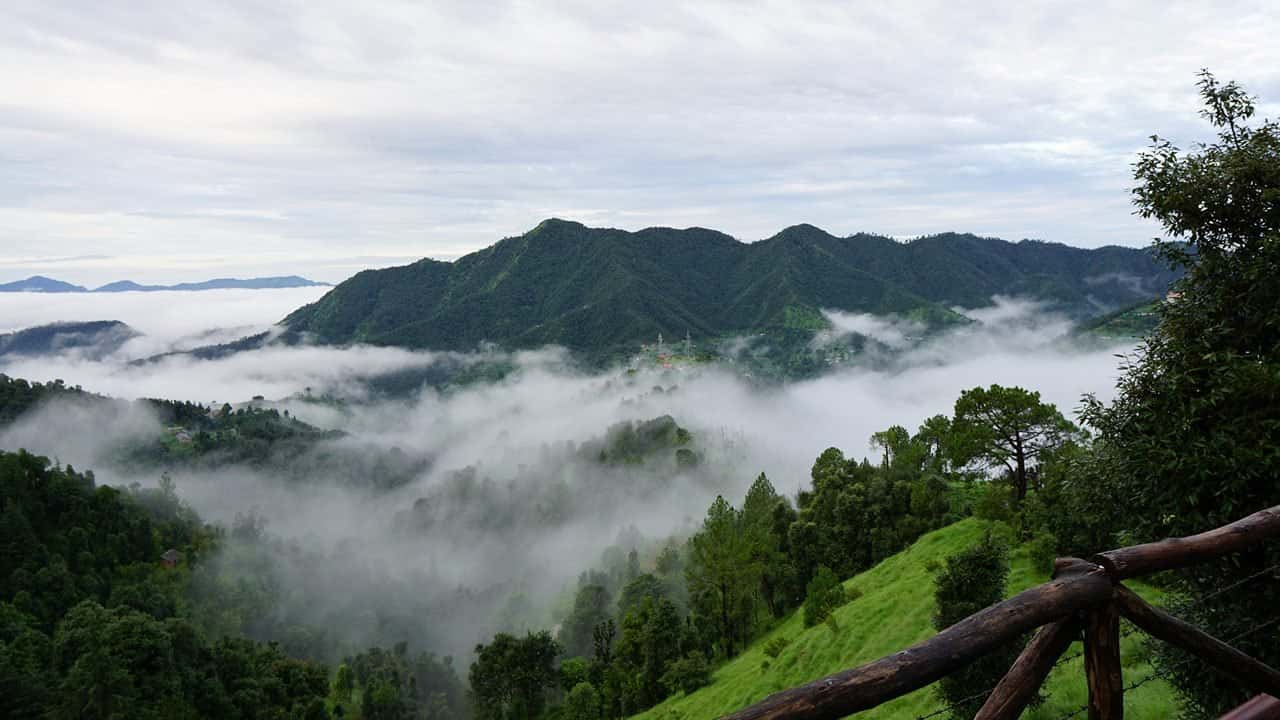 Shoghi