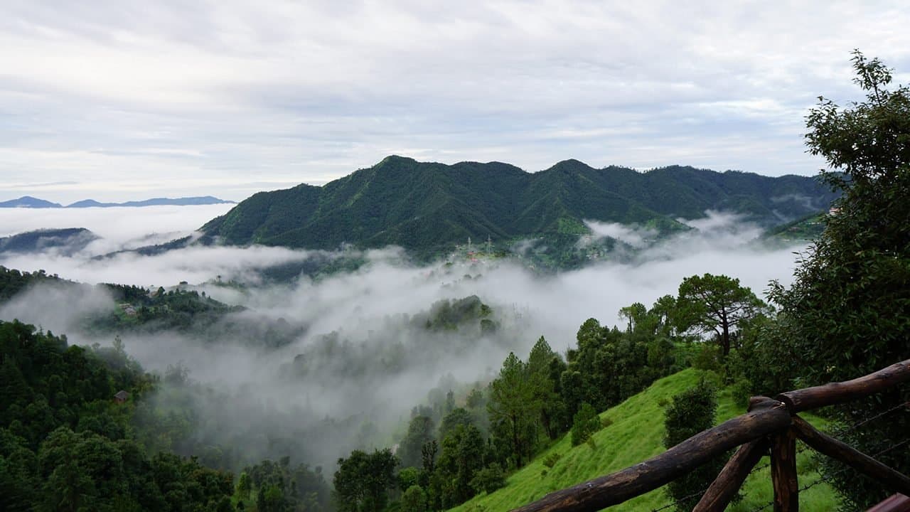 Shoghi