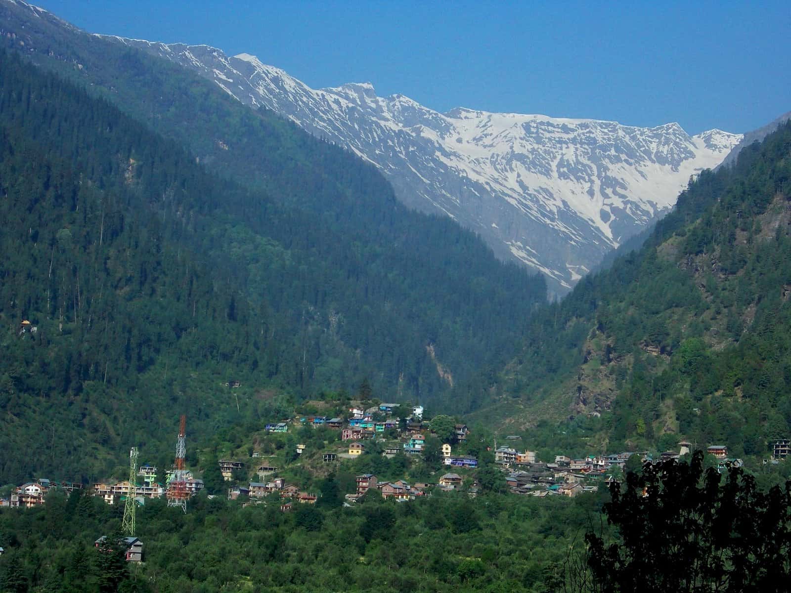 Thanedar