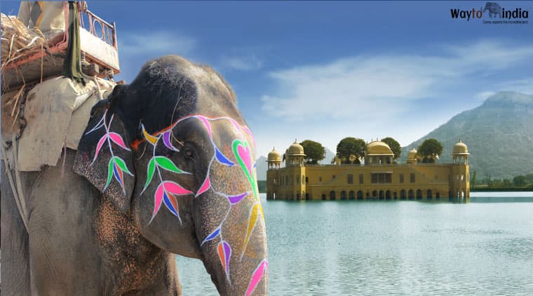 Agra Rajasthan Tour Package From Delhi - Image 2