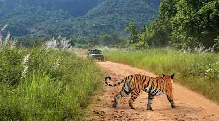 Bandhavgarh National Park Tour Package