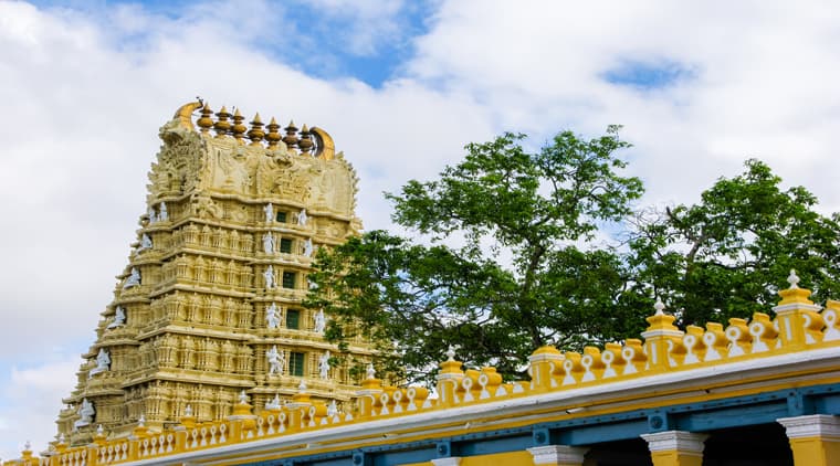 Best of Karnataka Tour - Image 5