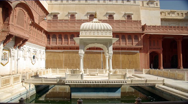 Elephant Festival Tour - Image 3
