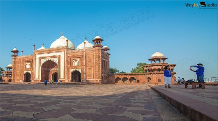 Elephant Festival Tour - Image 5