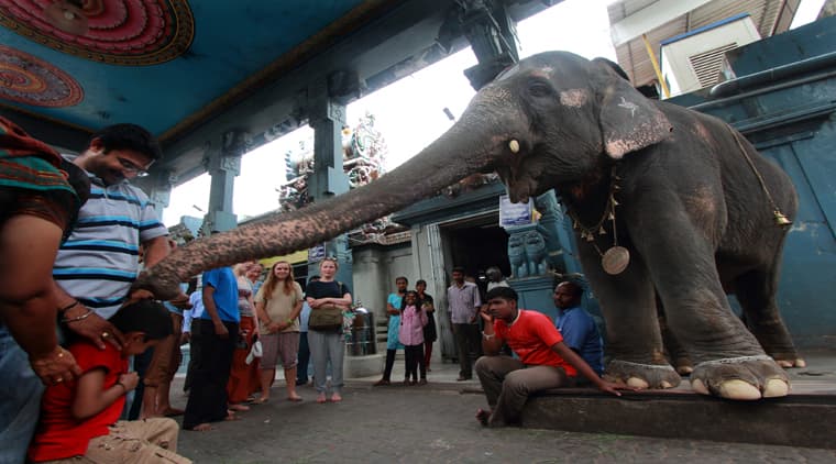Kerala Family Packages - Image 4