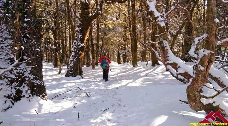 Kuari Pass Trekking