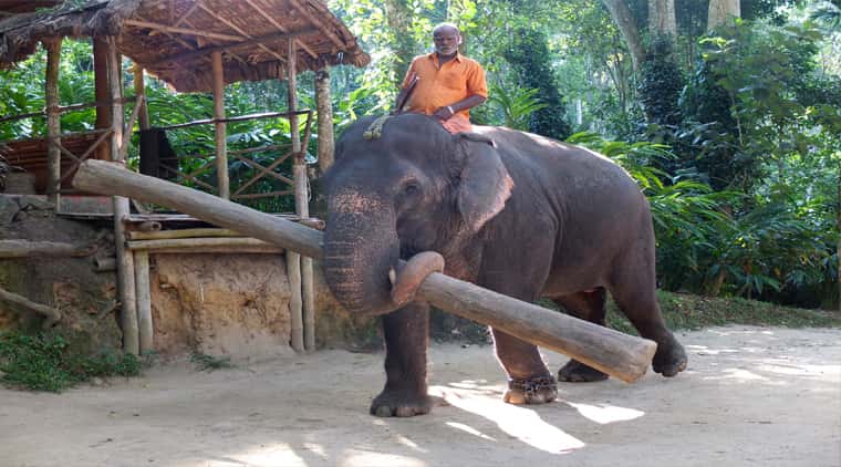 Munnar Ooty Kodaikanal Tour Package