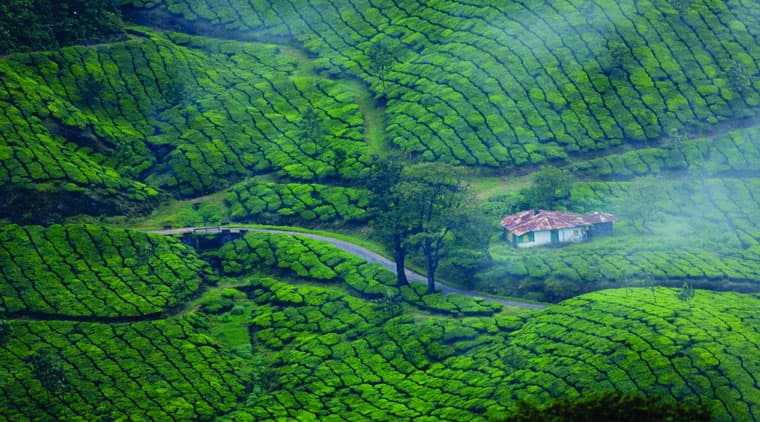 Ooty Kodaikanal Munnar Tour Package - Image 3