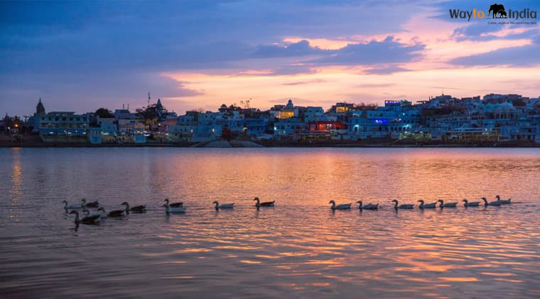 Pushkar Fair Tour Package - Image 4