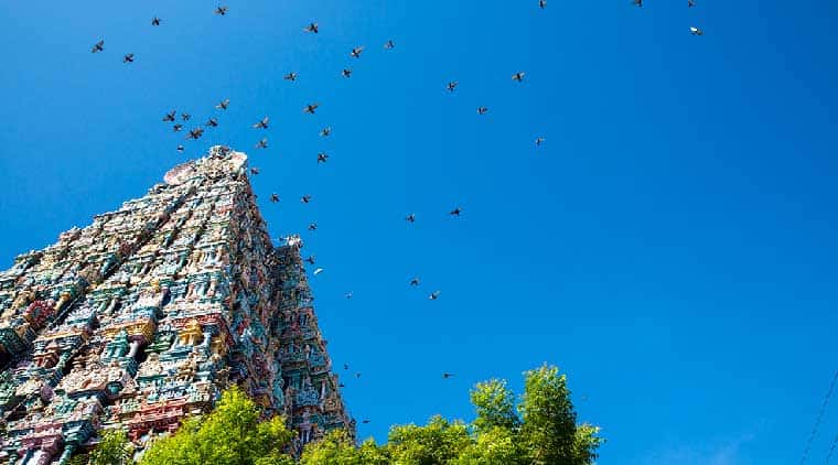 South India Hill Station Tour