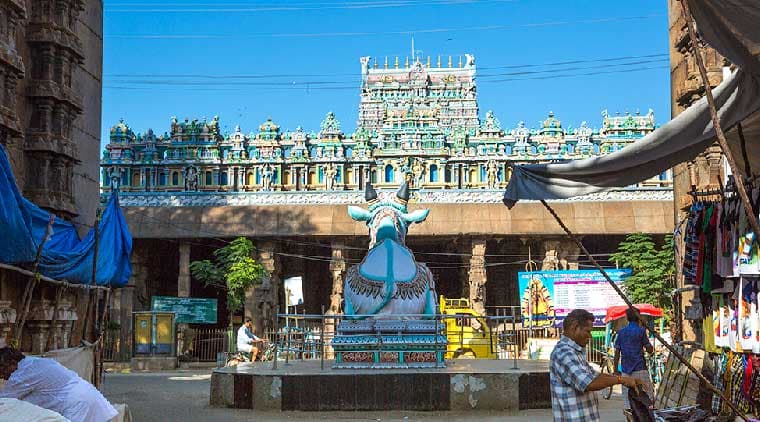 South India Temple Tour - Image 3