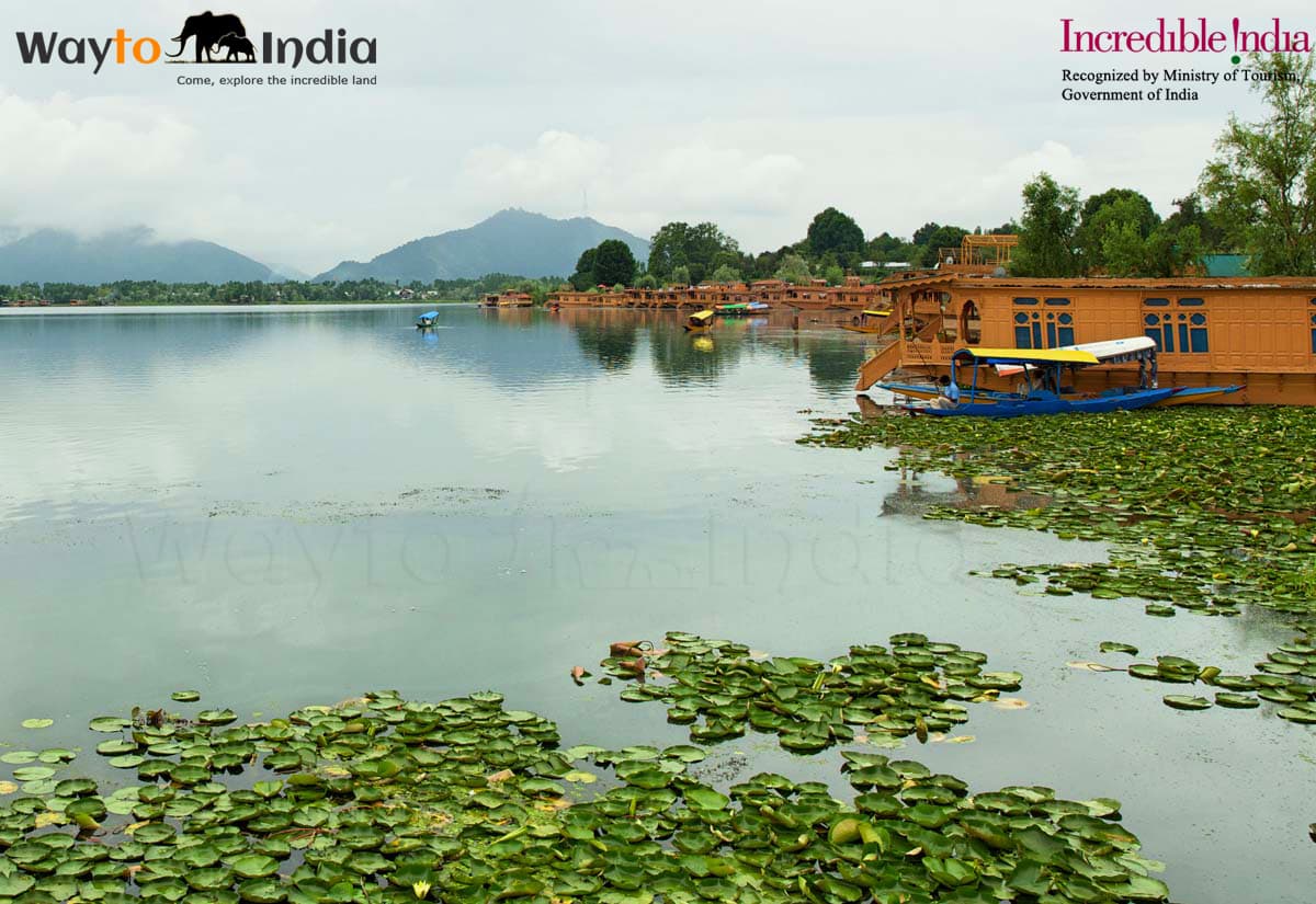 Srinagar To Leh Tour Package - Image 3