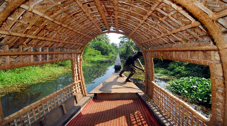 Thrissur Elephant Festival Kerala