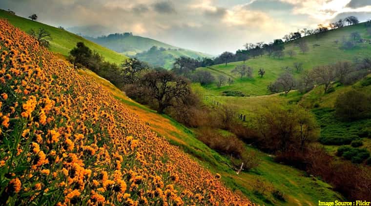 Valley of Flowers Trekking Tour
