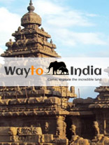 South India Tour