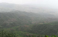 Forest Park and Medicinal Plant Garden 