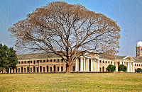 Forest Research Institute