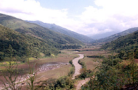 Ghosho Bird Sanctuary