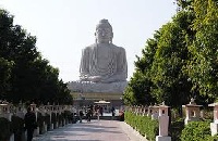 Great Buddha Statue