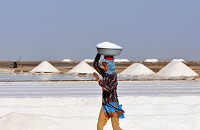 Great Rann of Kutch