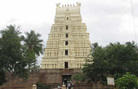 Hathakesvara Temple